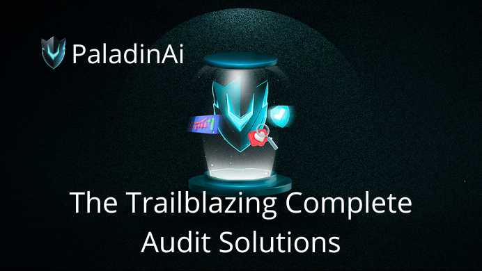 Importance of 360° audits: What PaladinAI is offering